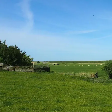 Апартаменты Holiday Lugworm
